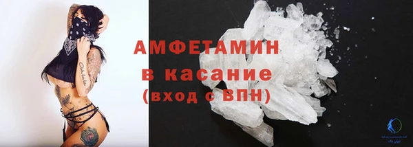 крисы Мегион