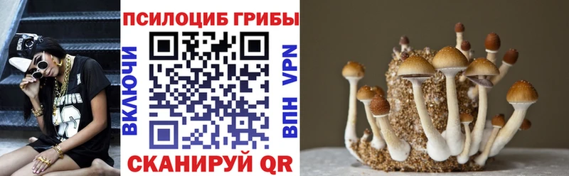 Галлюциногенные грибы Psilocybe наркотики Мураши
