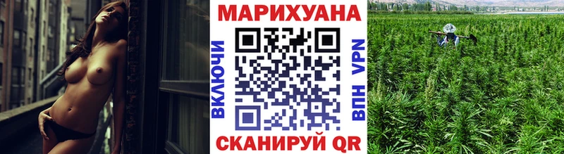Бошки Шишки THC 21%  Мураши 